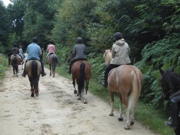 Le Retour aux Sources