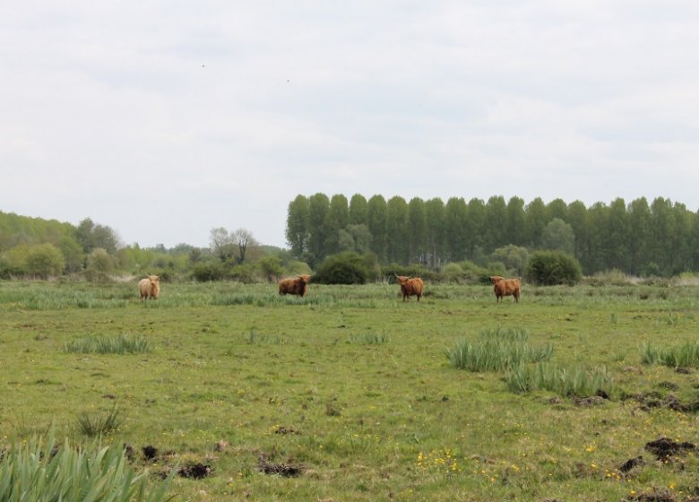 Espace Naturel Sensible : le Sentier de l’Anguille