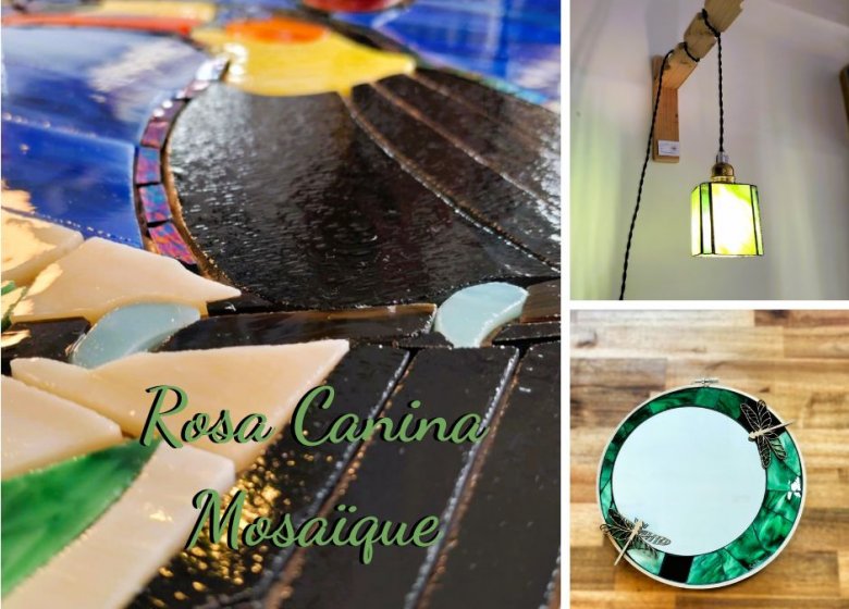 Rosa Canina Mosaïque