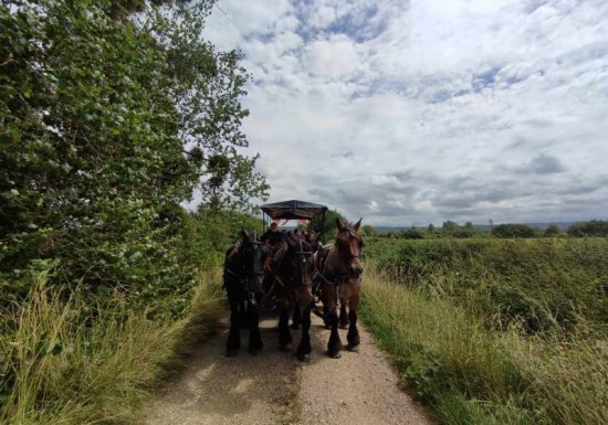 Service Tourisme RS ED Roulotte en Seine Normande