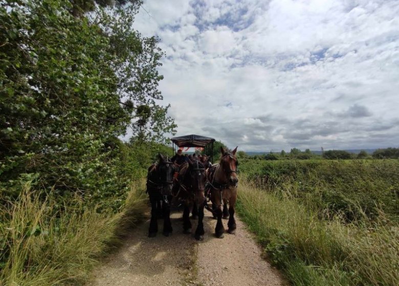 Roulotte en Seine Normande