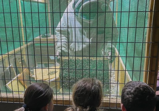 © Le Rucher de Cantiers Le Rucher de Cantiers