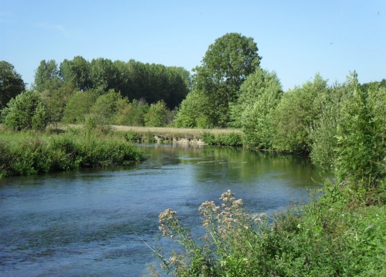 Le moucheron, pêche à la mouche