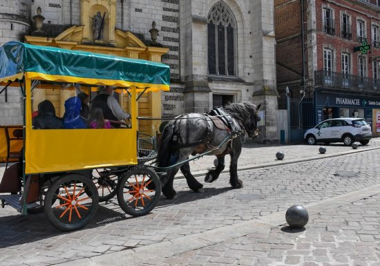 Les Attelages de Jacques