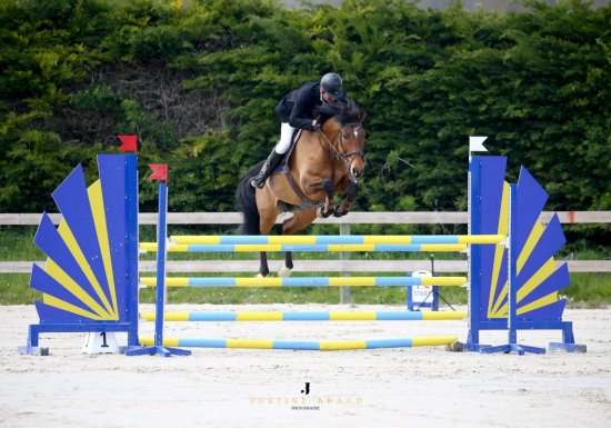 Centre équestre de la Bonde Centre Équestre de la Bonde