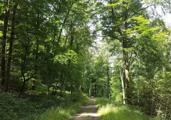 Compostelle : de Dieppe à Chartres (partie euroise)