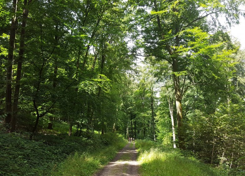 Sentier de la Fontaineresse