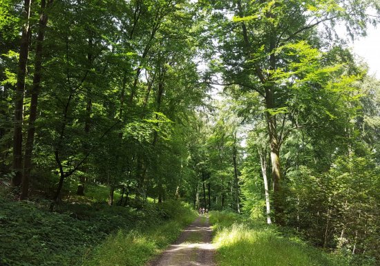© ADT de l'Eure, H. Macquart Circuit le Mont Pivin