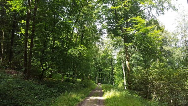 Circuit de la fosse aux loups