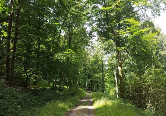 © ADT de l'Eure, H. Macquart Chemin des Amoureux