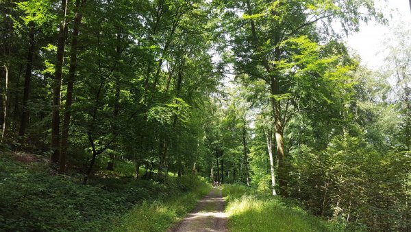 Chemin des Amoureux