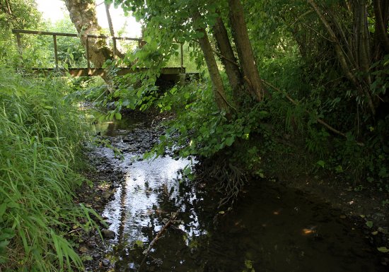 Sentier de la Biodiversité