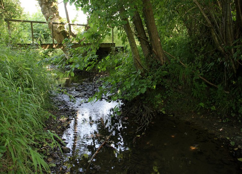 Sentier de la Biodiversité