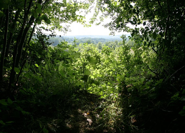 Sentier de la Biodiversité