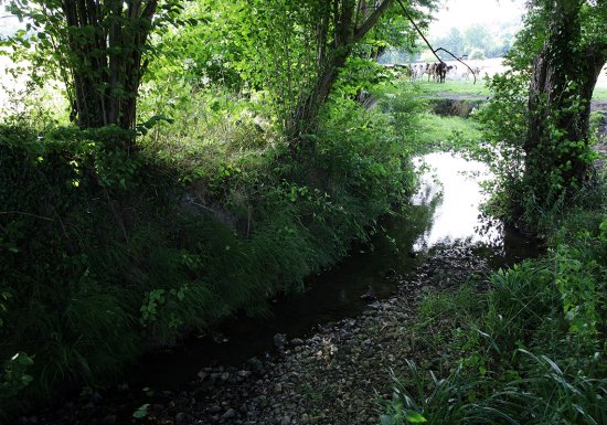 Sentier de la Biodiversité