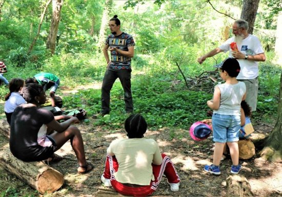 Journée internationale des forêts