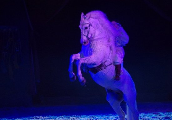 6images Le Manège de Tilly