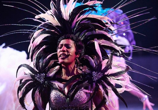 6images Le Manège de Tilly