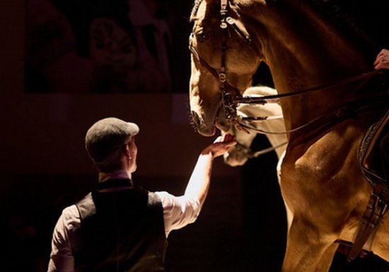 6images Le Manège de Tilly