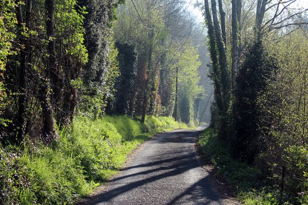 Chemin des ponts et gués