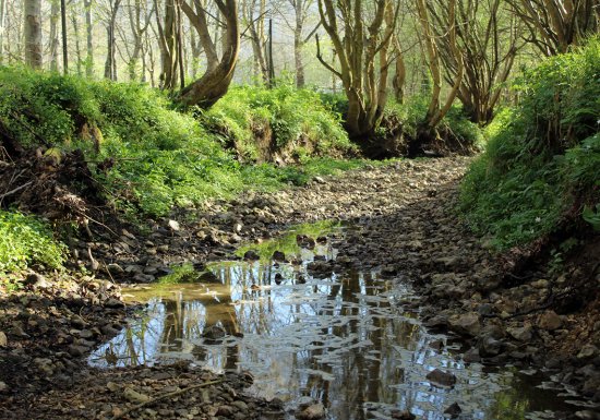 Chemin des ponts et gués