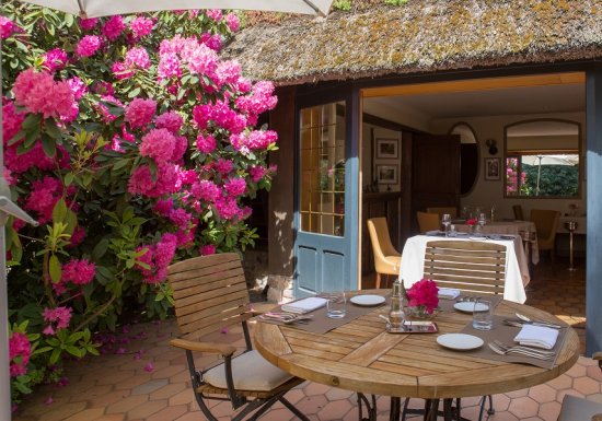 Le Petit Coq aux Champs