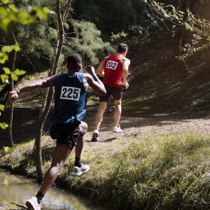 Trail nocturne des Chesnay