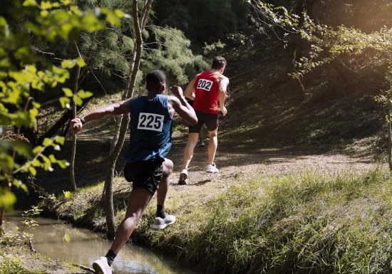 Trail nocturne des Chesnay