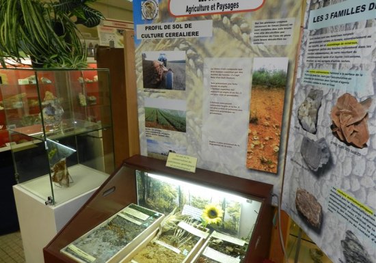 Musée Trésors géologiques de Normandie