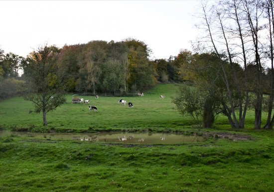 Circuit de la chapelle Saint Firmin