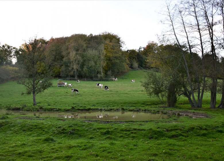 Circuit de la chapelle Saint Firmin