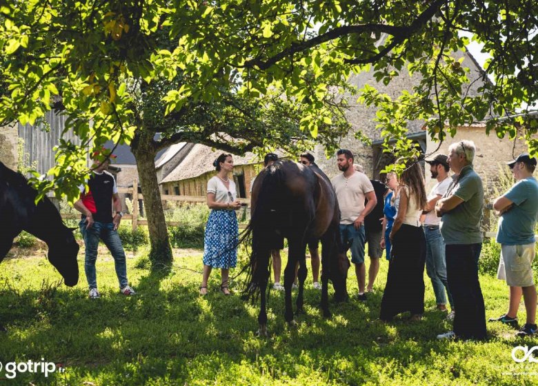 Les Ateliers du Mont Viné