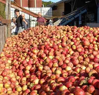 Cidrerie « ferme du Manoir du Val »