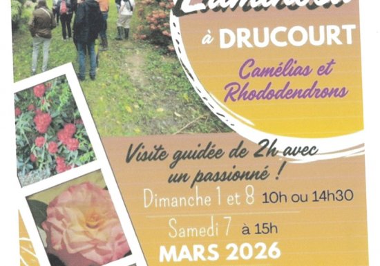 Visite commentée du parc arboré Luminosa – Les camélias et les rhododendrons