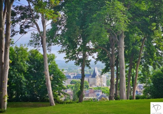 Château du Mont Martin