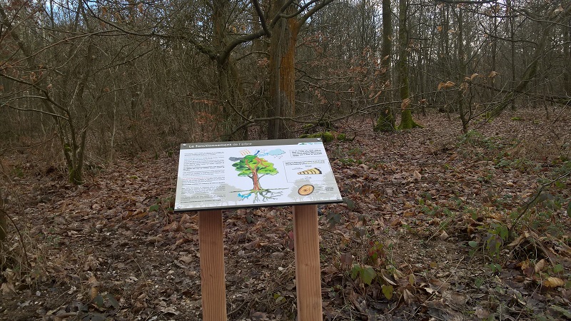 Forêt domaniale de Bord-Louviers