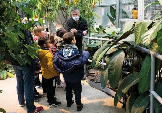 Pourquoi les feuilles tombent? – La Serre s’anime à Evreux