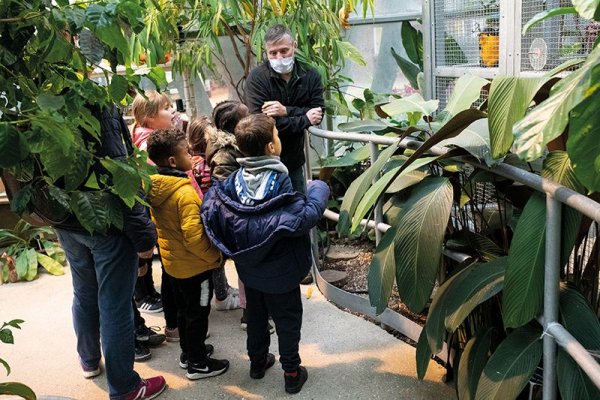 Les rennes du Père Noël – La Serre s’anime à Evreux