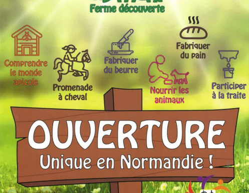 Anymania-val de reuil Anymania