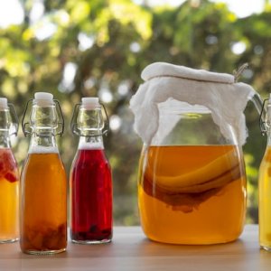 FABRIQUER SES BOISSONS FERMENTÉES à la maison forestière des Hogues