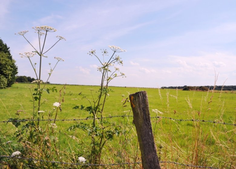 ©DR Circuits de Randonnées