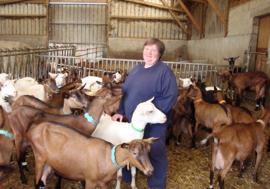 La Chèvrerie d’Elise