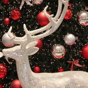 Marché de Noël à Tillières-sur-Avre