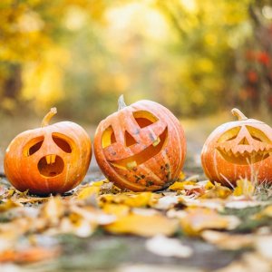 Pixabay Mon p’tit ciné – Spécial Halloween