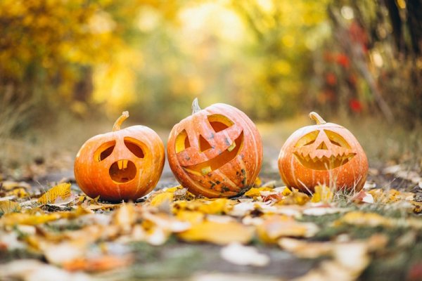 Mon p’tit ciné – Spécial Halloween
