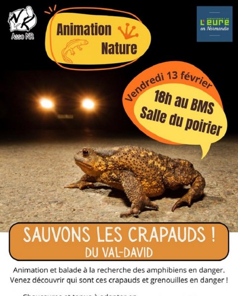 Sortie Nature : Sauvons les petits crapauds