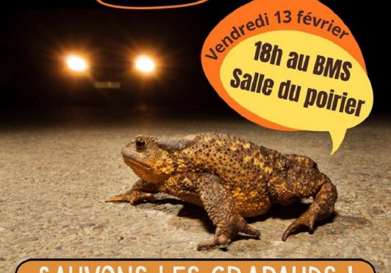 Sortie Nature : Sauvons les petits crapauds