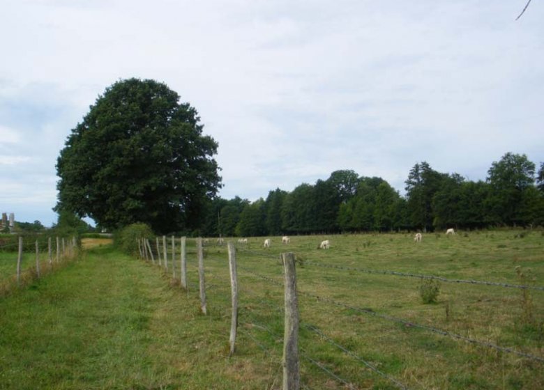 Circuit du Pré Saulé