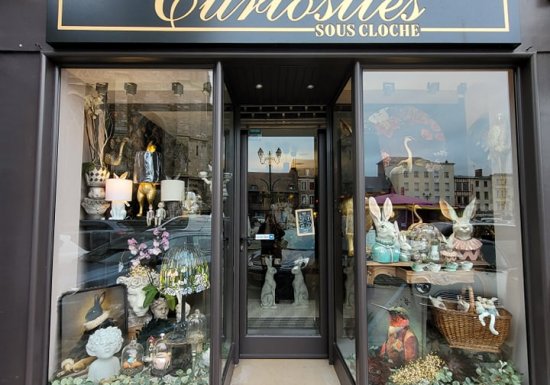 Curiosités sous cloche – Décoration artisanale