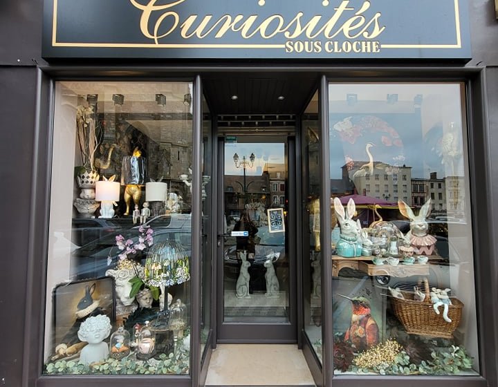 Curiosités sous cloche – Décoration artisanale